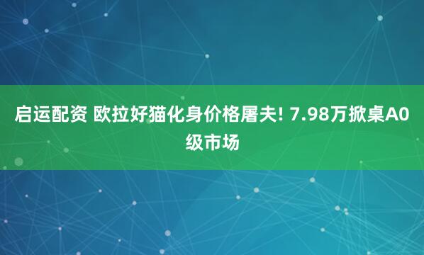 启运配资 欧拉好猫化身价格屠夫! 7.98万掀桌A0级市场