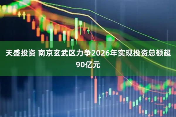 天盛投资 南京玄武区力争2026年实现投资总额超90亿元